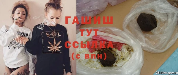сатива Бородино