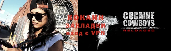 сатива Бородино
