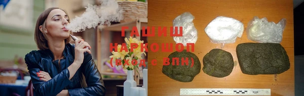 сатива Бородино