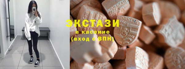 сатива Бородино