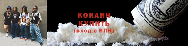 сатива Бородино