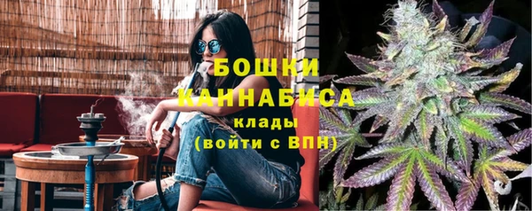 сатива Бородино