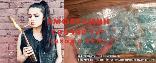 сатива Бородино